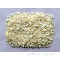 Freeze Dried Onion Flakes